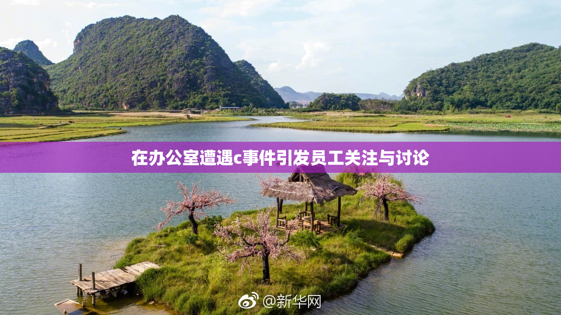 在办公室遭遇c事件引发员工关注与讨论