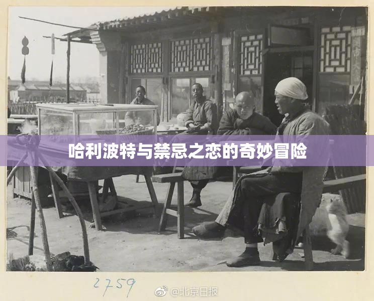 哈利波特与禁忌之恋的奇妙冒险