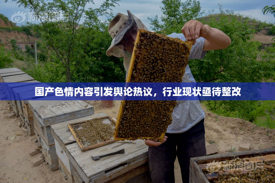 国产色情内容引发舆论热议，行业现状亟待整改