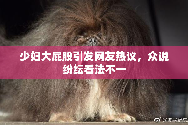 少妇大屁股引发网友热议，众说纷纭看法不一