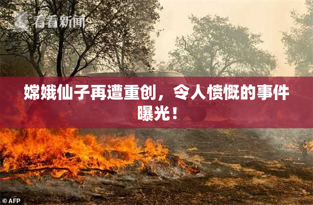 嫦娥仙子再遭重创，令人愤慨的事件曝光！