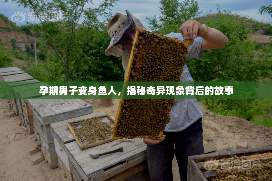 孕期男子变身鱼人，揭秘奇异现象背后的故事