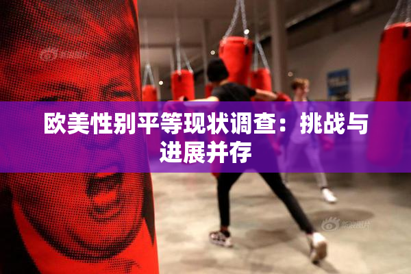 欧美性别平等现状调查：挑战与进展并存