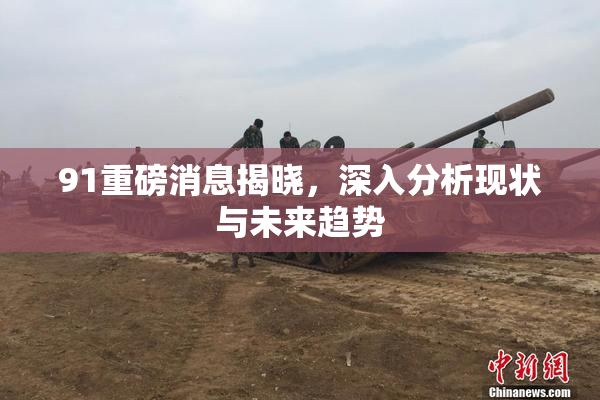 91重磅消息揭晓，深入分析现状与未来趋势