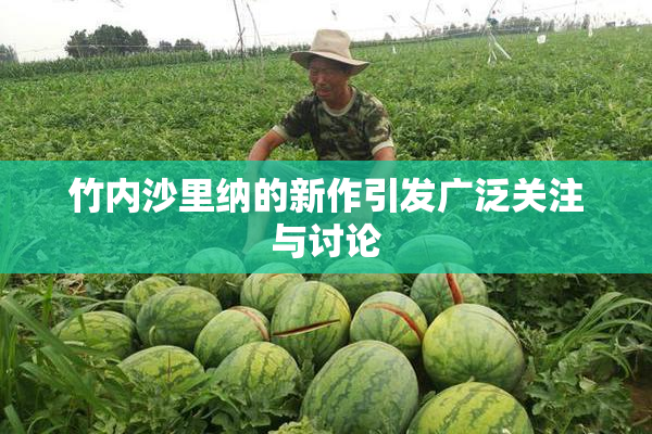竹内沙里纳的新作引发广泛关注与讨论