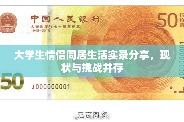 大学生情侣同居生活实录分享，现状与挑战并存