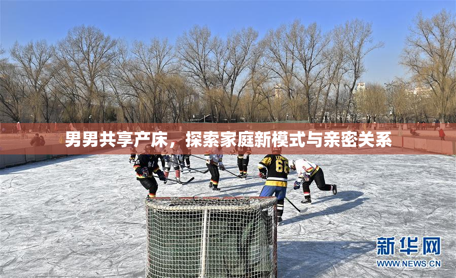 男男共享产床，探索家庭新模式与亲密关系