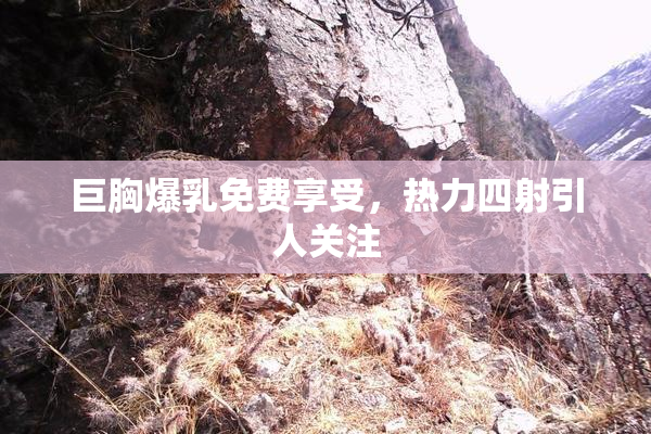 巨胸爆乳免费享受，热力四射引人关注