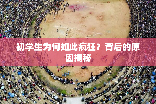 初学生为何如此疯狂？背后的原因揭秘