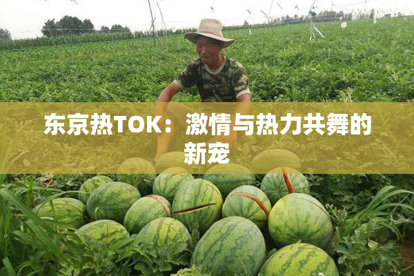 东京热TOK：激情与热力共舞的新宠