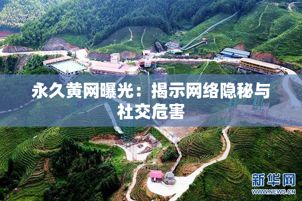 永久黄网曝光：揭示网络隐秘与社交危害