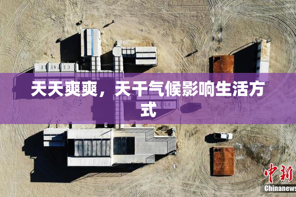 天天爽爽，天干气候影响生活方式