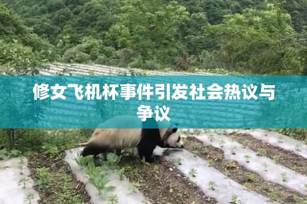 修女飞机杯事件引发社会热议与争议