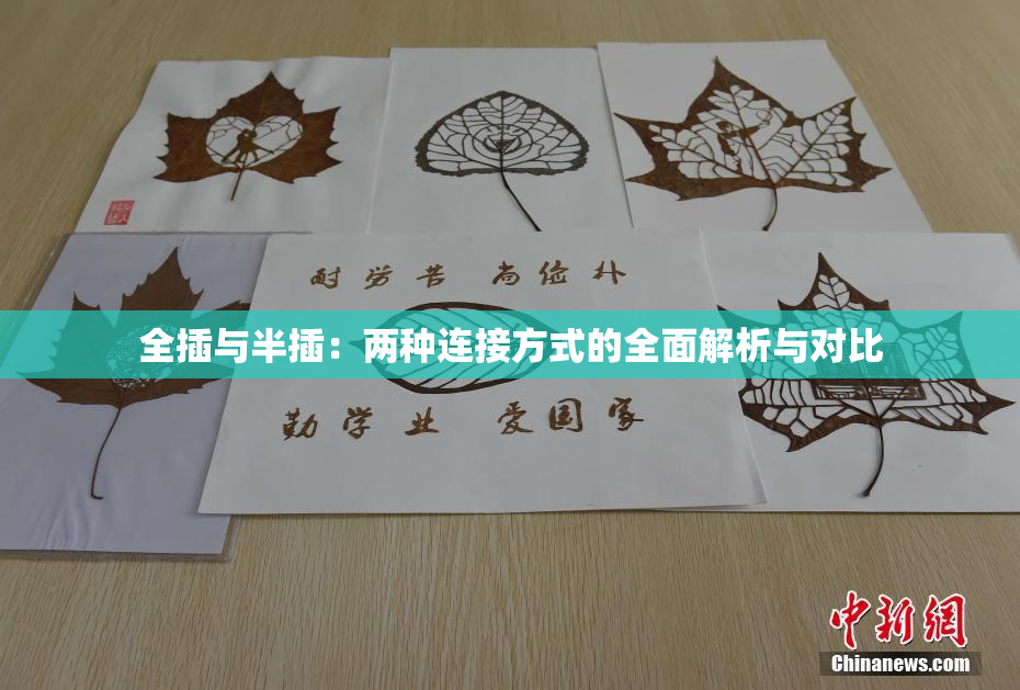 全插与半插：两种连接方式的全面解析与对比