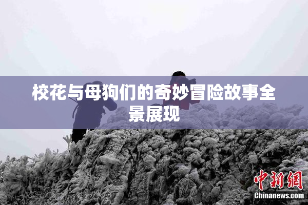校花与母狗们的奇妙冒险故事全景展现