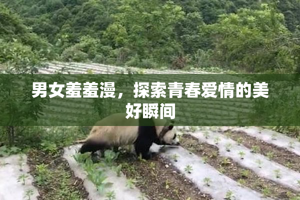 男女羞羞漫，探索青春爱情的美好瞬间