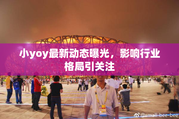 小yoy最新动态曝光，影响行业格局引关注