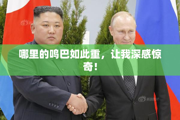 哪里的鸣巴如此重，让我深感惊奇！