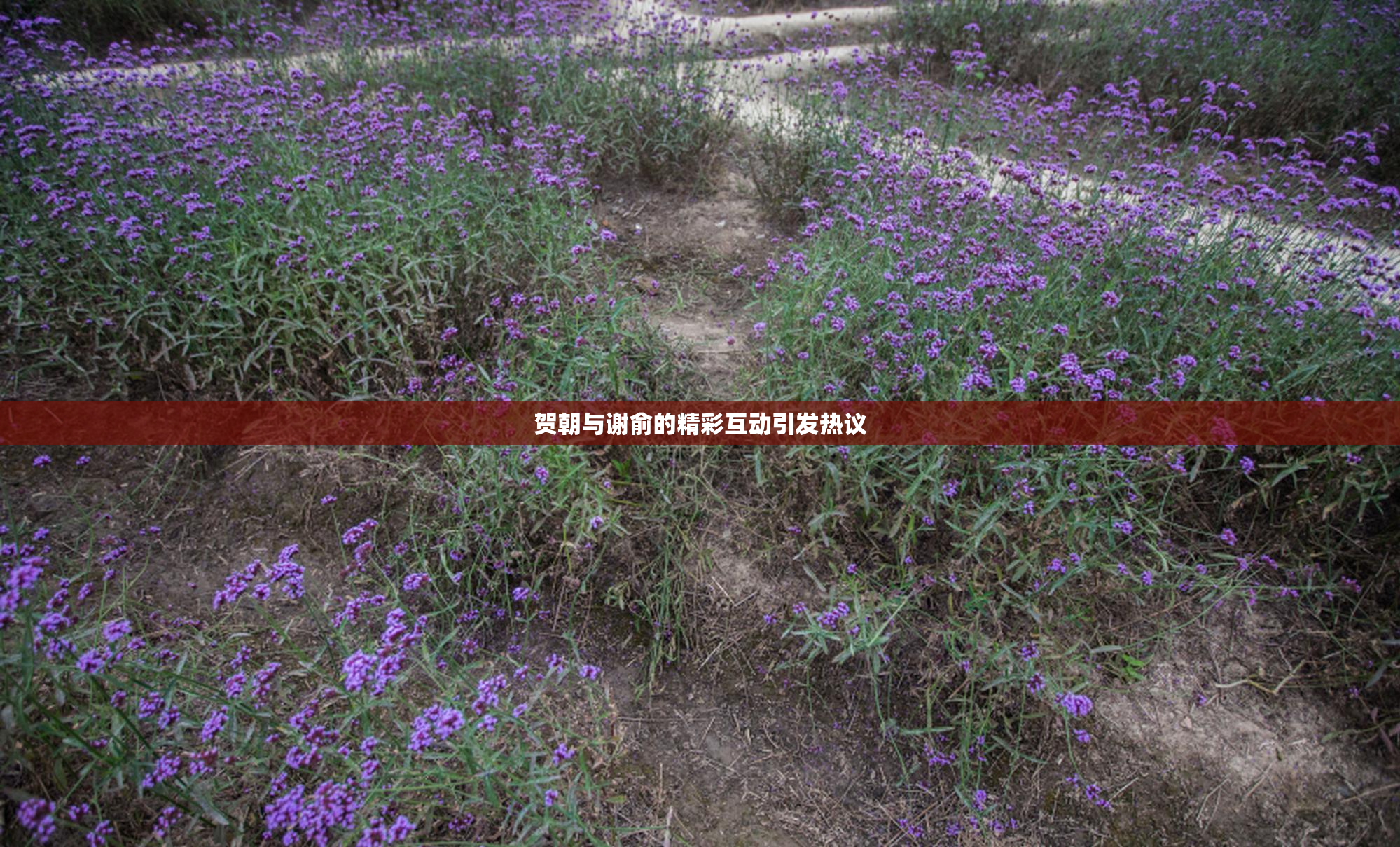 贺朝与谢俞的精彩互动引发热议