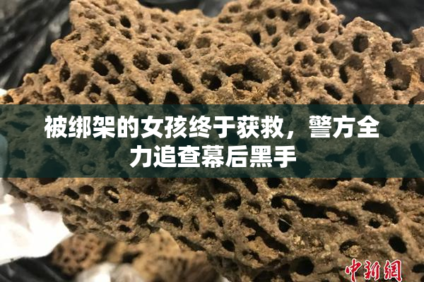 被绑架的女孩终于获救，警方全力追查幕后黑手