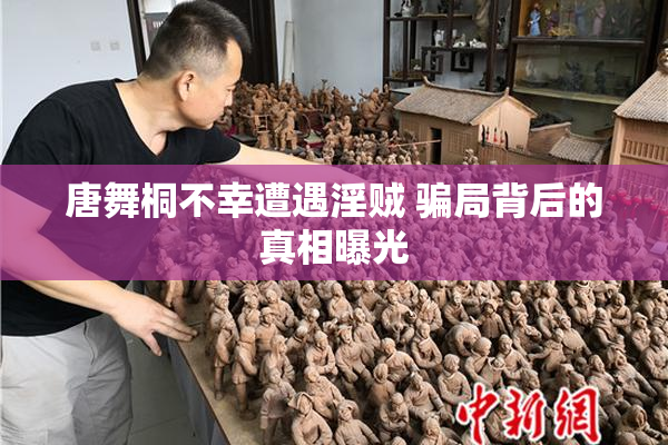 唐舞桐不幸遭遇淫贼 骗局背后的真相曝光