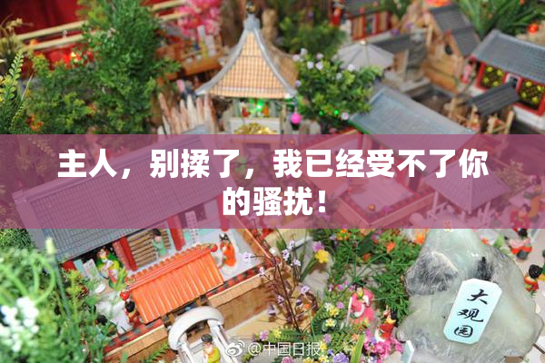 主人，别揉了，我已经受不了你的骚扰！