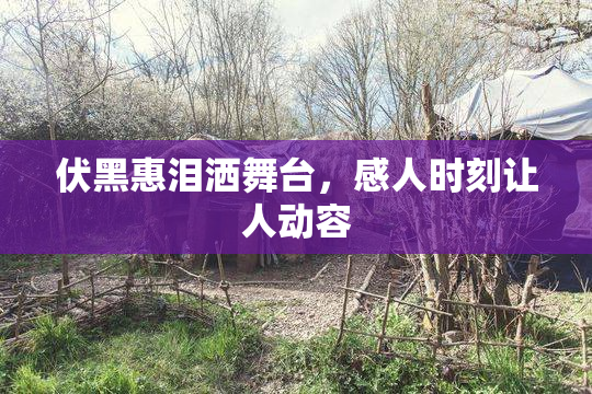 伏黑惠泪洒舞台，感人时刻让人动容