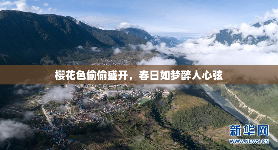 樱花色偷偷盛开，春日如梦醉人心弦