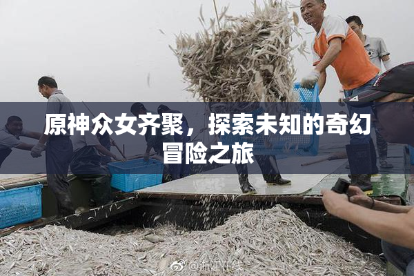 原神众女齐聚，探索未知的奇幻冒险之旅