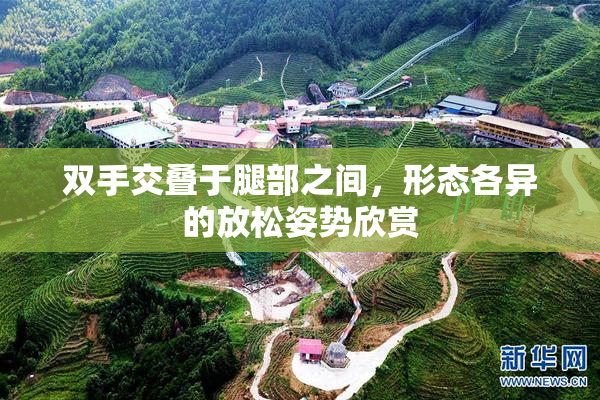 双手交叠于腿部之间，形态各异的放松姿势欣赏