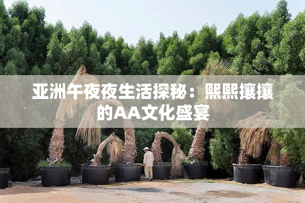 亚洲午夜夜生活探秘：熙熙攘攘的AA文化盛宴