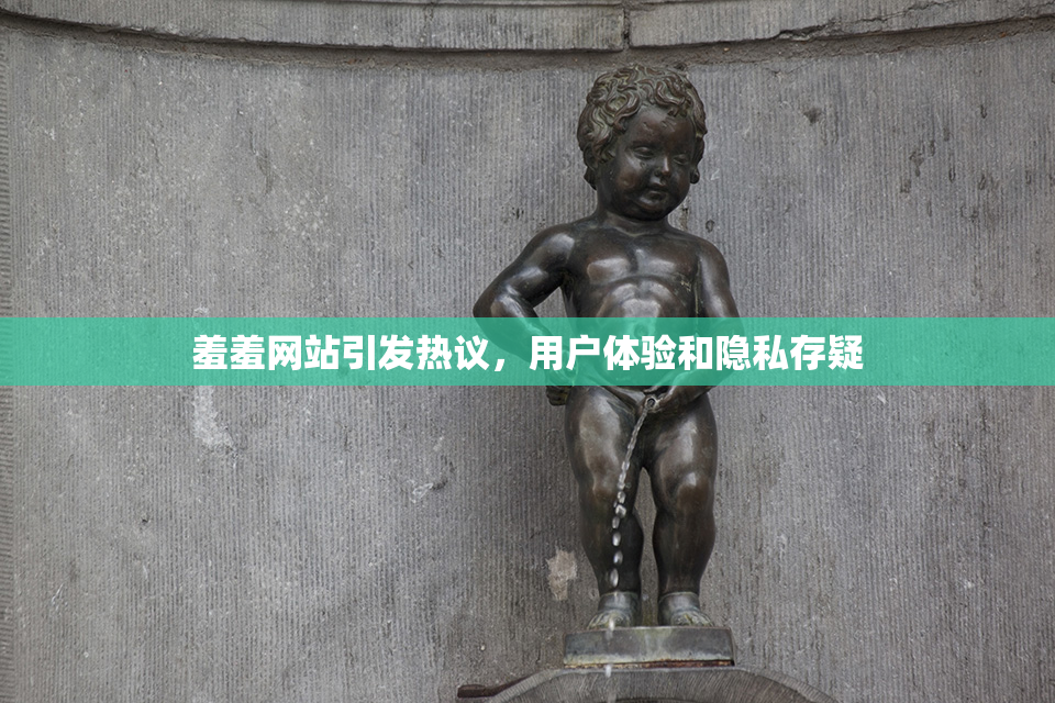 羞羞网站引发热议，用户体验和隐私存疑