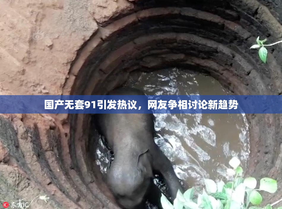 国产无套91引发热议，网友争相讨论新趋势
