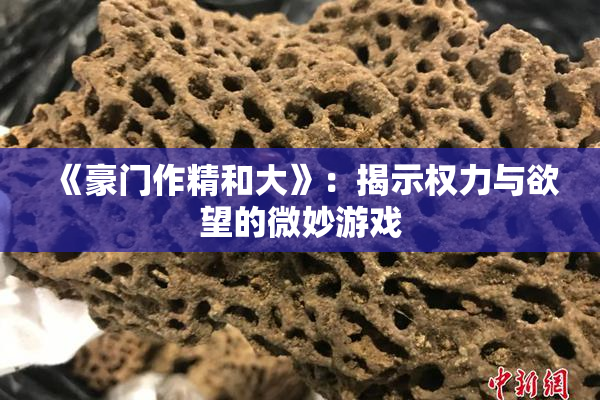 《豪门作精和大》：揭示权力与欲望的微妙游戏