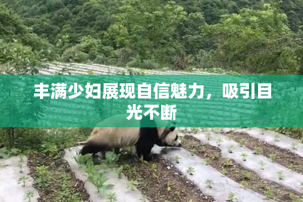 丰满少妇展现自信魅力，吸引目光不断
