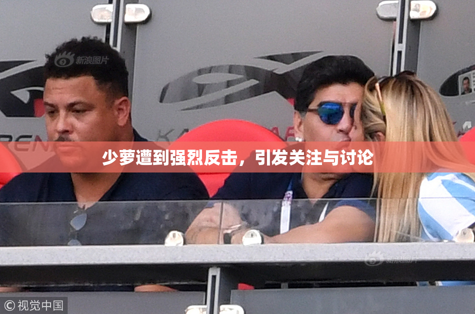 少萝遭到强烈反击，引发关注与讨论