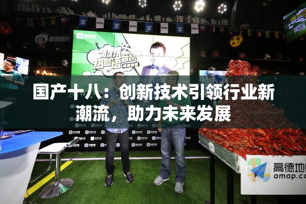 国产十八：创新技术引领行业新潮流，助力未来发展