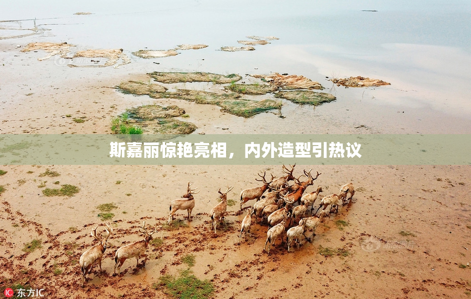 斯嘉丽惊艳亮相，内外造型引热议
