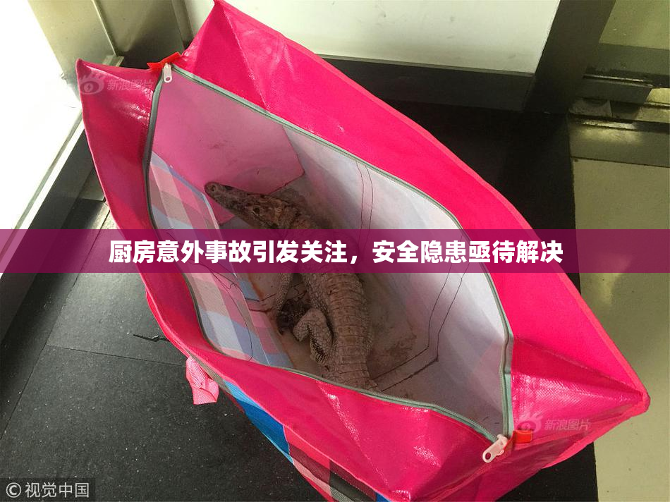 厨房意外事故引发关注，安全隐患亟待解决