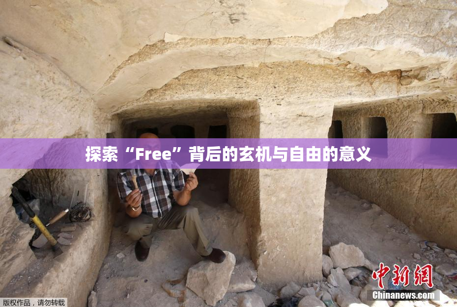 探索“Free”背后的玄机与自由的意义