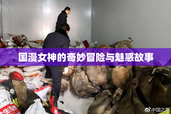 国漫女神的奇妙冒险与魅惑故事