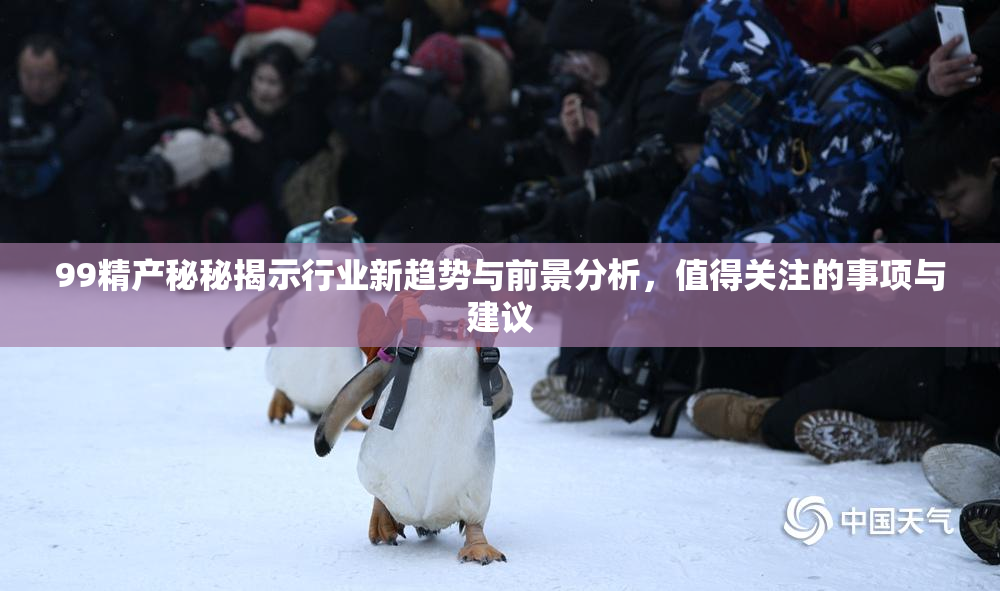 99精产秘秘揭示行业新趋势与前景分析，值得关注的事项与建议