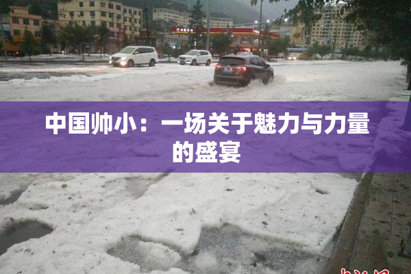 中国帅小：一场关于魅力与力量的盛宴