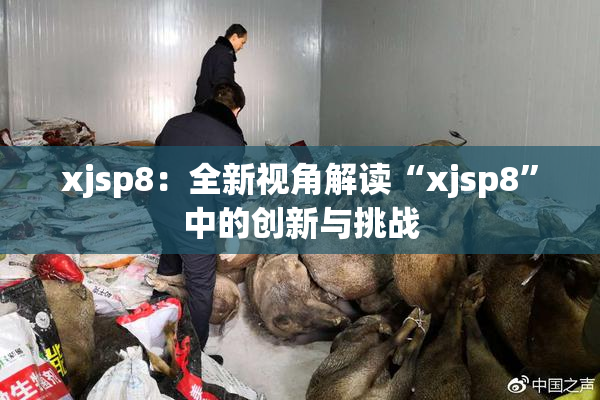xjsp8：全新视角解读“xjsp8”中的创新与挑战
