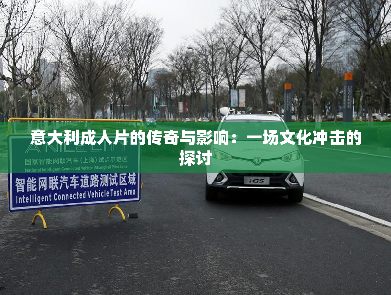 意大利成人片的传奇与影响：一场文化冲击的探讨