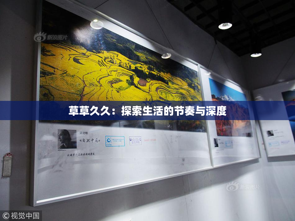 草草久久：探索生活的节奏与深度