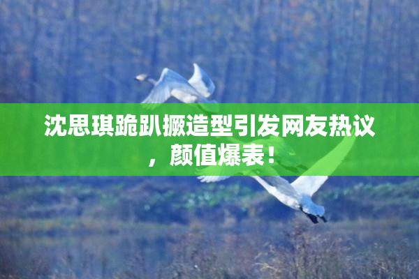 沈思琪跪趴撅造型引发网友热议，颜值爆表！
