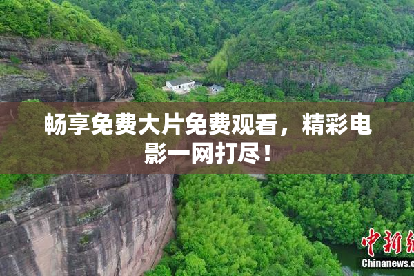 畅享免费大片免费观看，精彩电影一网打尽！