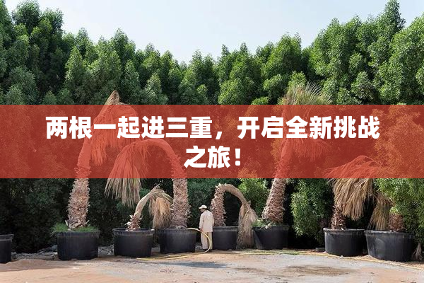 两根一起进三重，开启全新挑战之旅！