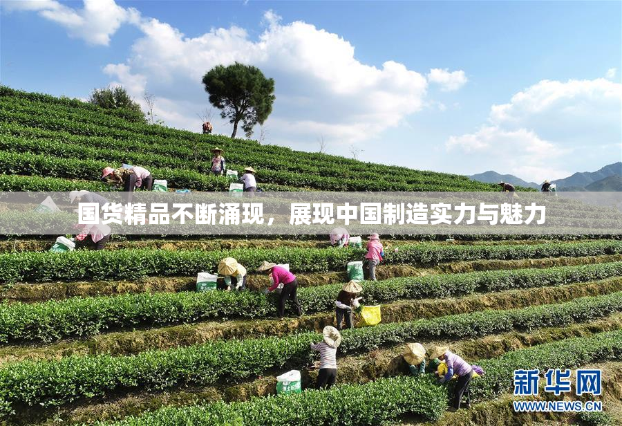 国货精品不断涌现，展现中国制造实力与魅力